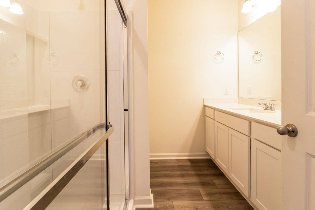 a bathroom with a sink and a shower