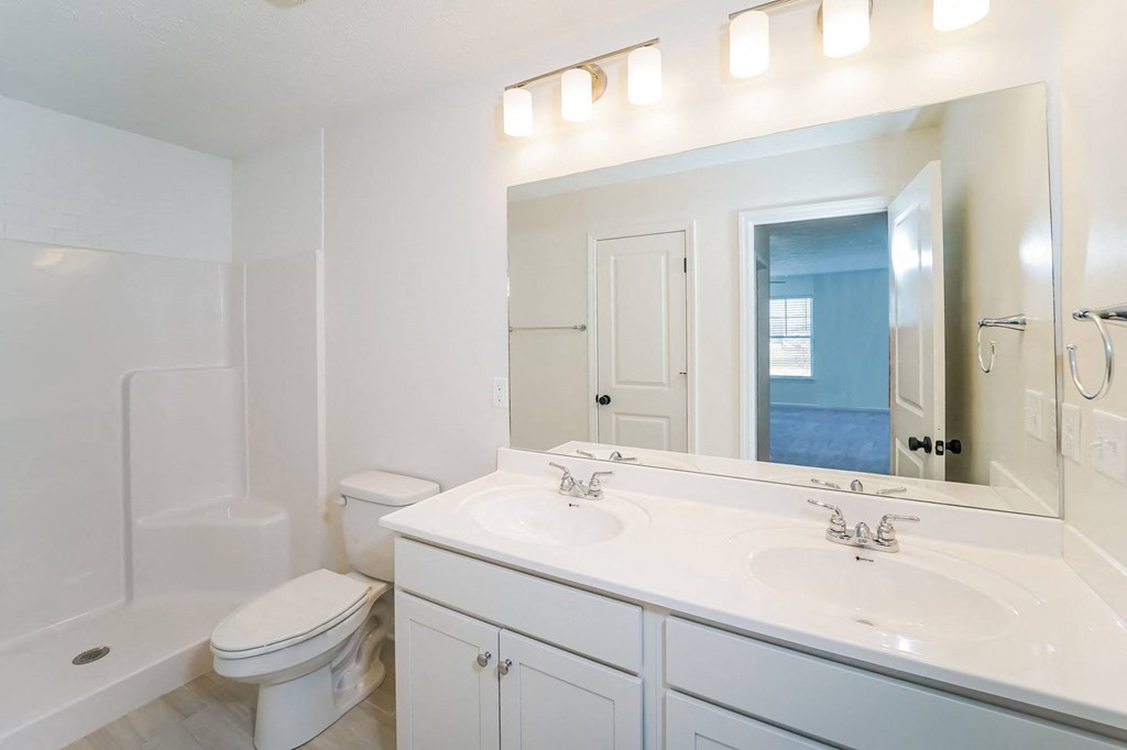 a bathroom with a sink and a toilet and a mirror