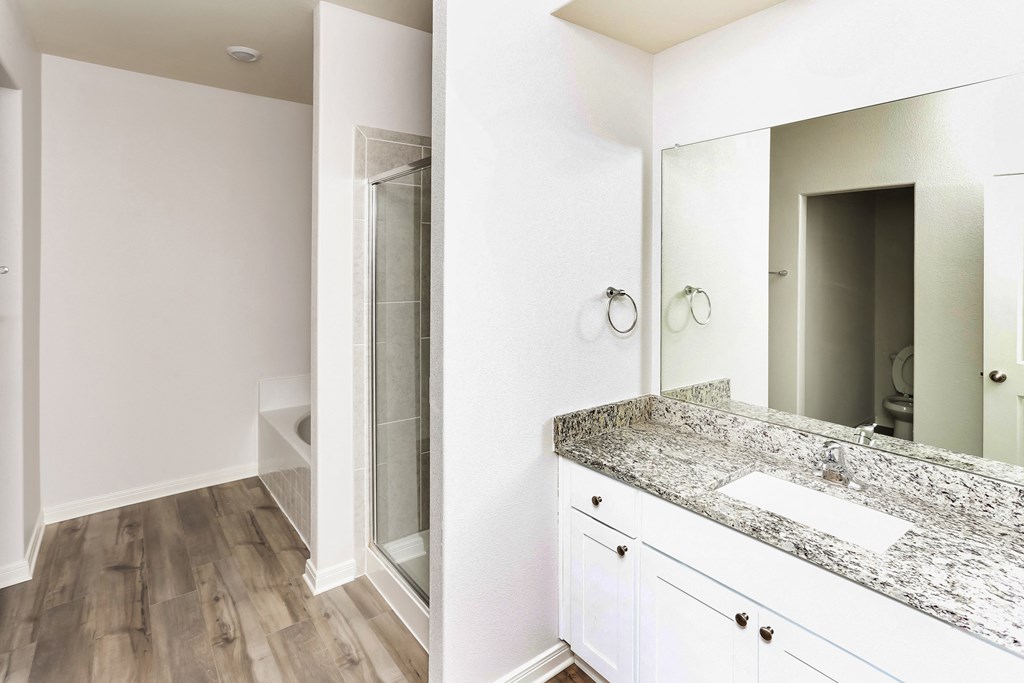 a bathroom with a large mirror and a sink and a shower