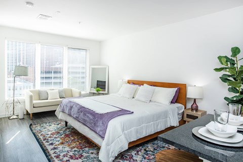 A bedroom with a bed, a couch, a chair, a table with a plant, and a window with blinds.
