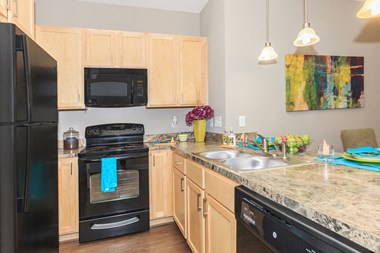 Sage at 1240 apartments in Mount Pleasant South Carolina photo of kitchen