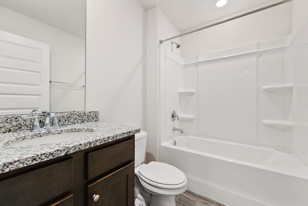 a bathroom with a shower toilet and sink and a mirror