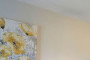 Walk-In Closets