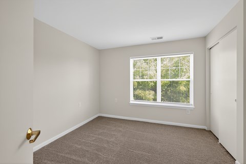 A room with a carpeted floor and a window showing trees outside.