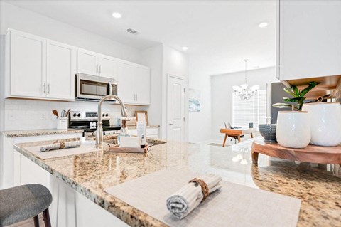 Blue Jay Commons Homes in Rincon, GA photo of kitchen