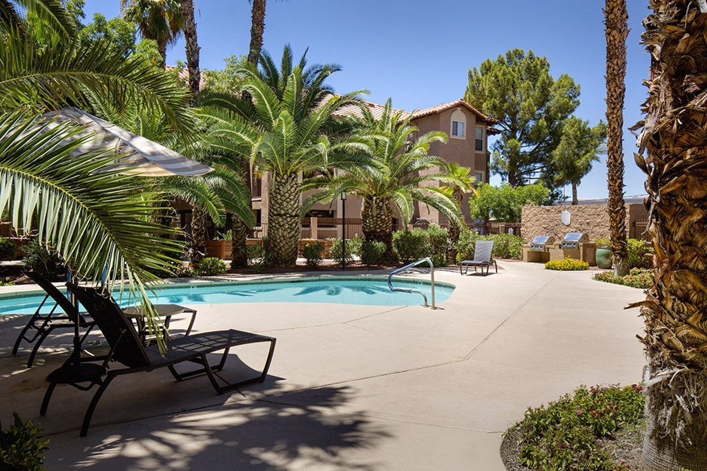 a swimming pool with chairs and palm trees