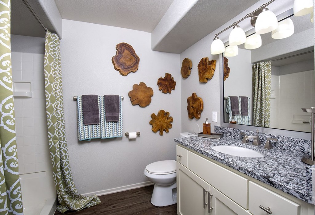 Granite Bathroom Countertop