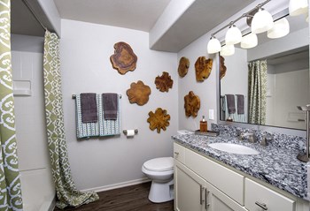 Granite Bathroom Countertop - Photo Gallery 12
