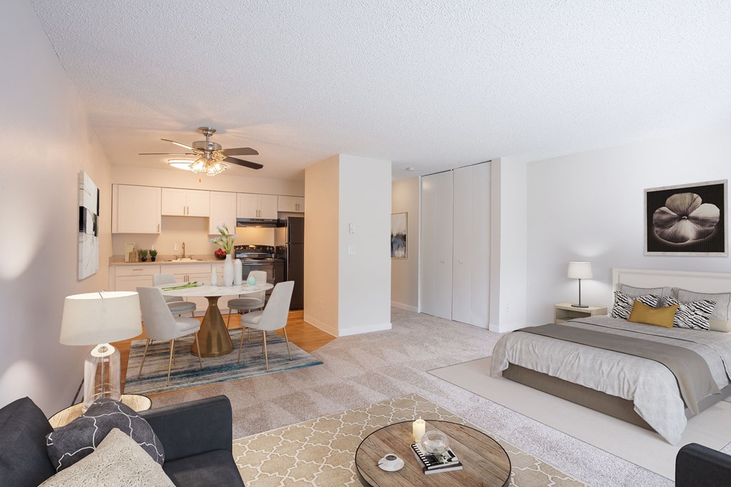 studio bedroom with sliding storage closet