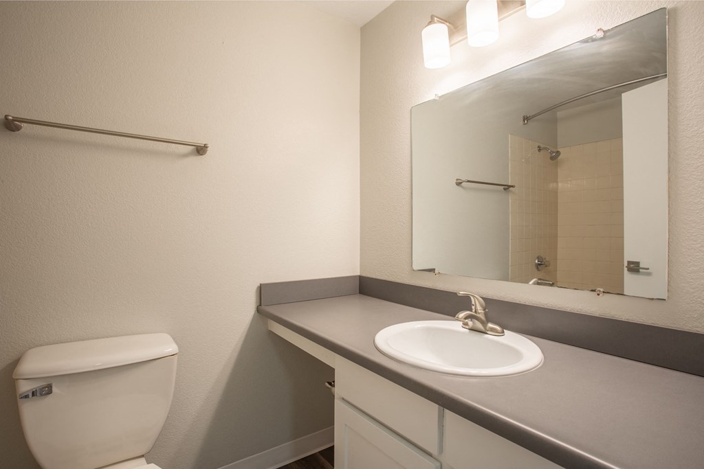 a bathroom with a toilet and a sink and a mirror