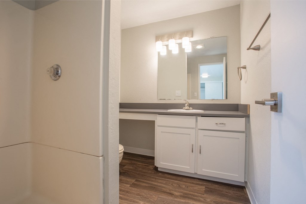 a bathroom with a sink and a mirror and a shower