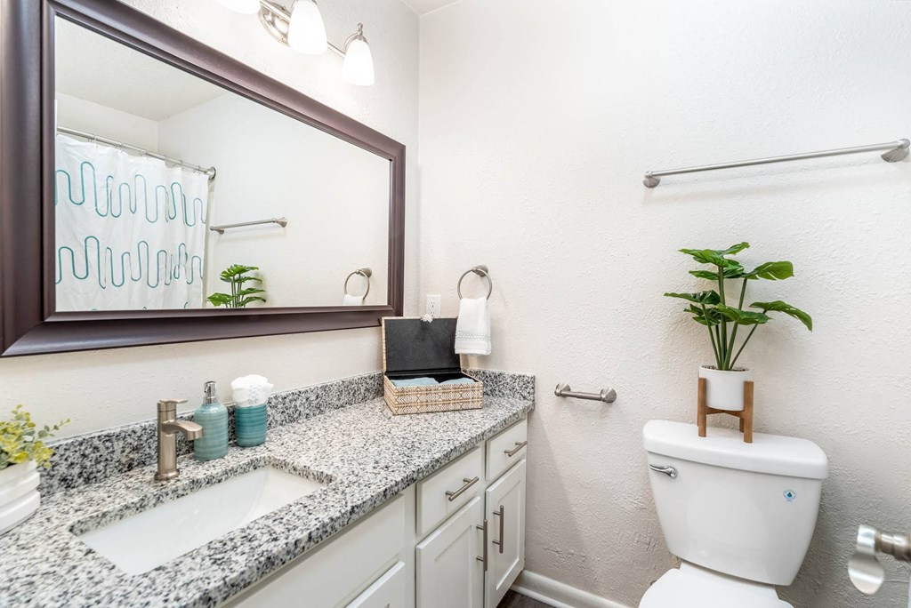 a bathroom with a toilet and a sink and a mirror