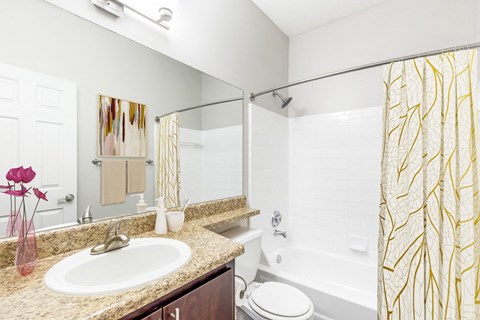 Apartments in Atlanta Georgia for Rent – One K Apartments - bathroom with a sink and a shower and a toilet