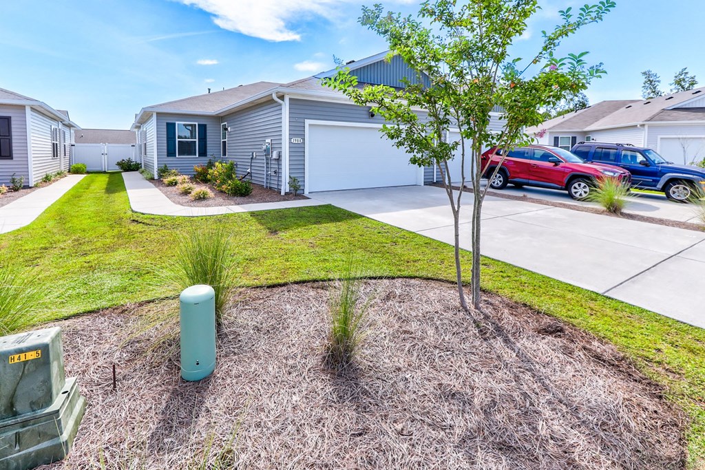 a house with a driveway and a tree in front of it