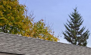 Garages Available - Photo Gallery 3