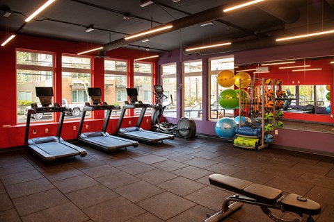 Studios For Rent In Bothell, WA - Morado Bothell - Fitness Center Equipped With Cardio Machines, Workout Bench, Medicine & Yoga Workout Balls, Full-Body Mirrors, And Windows For A Street View.
