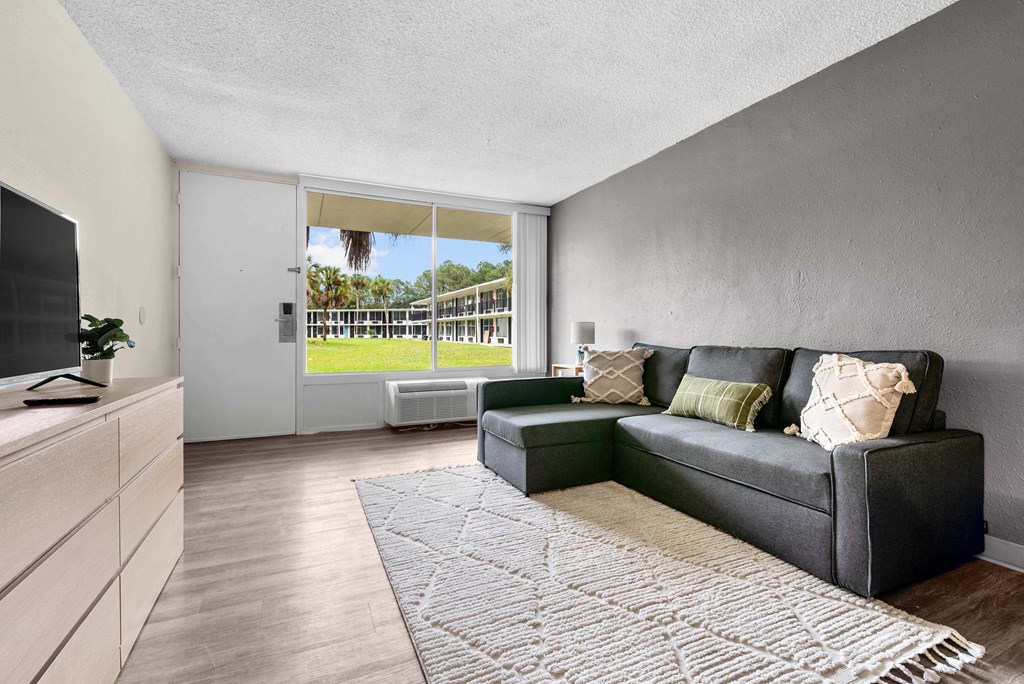 a living room with a couch and a tv