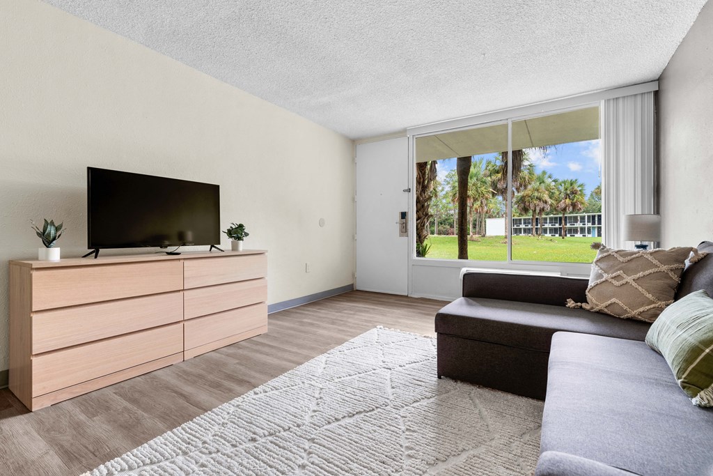 a living room with a couch and a tv