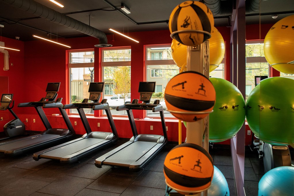 a gym with cardio equipment and exercise balls