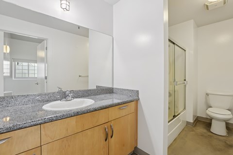 A bathroom with a sink, mirror, and toilet.