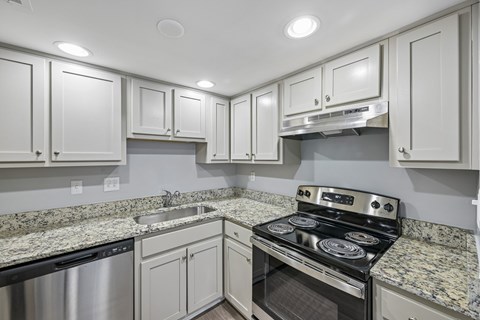 1914 Generation Dr Unit G 1 Apartment for Rent