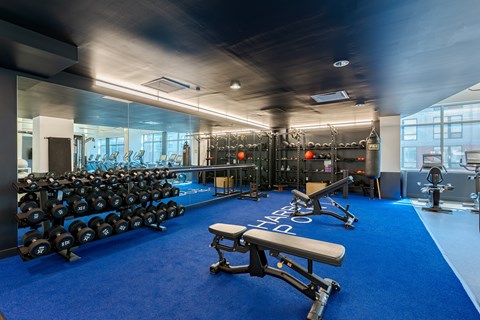 A gym with a blue carpet and a variety of equipment.