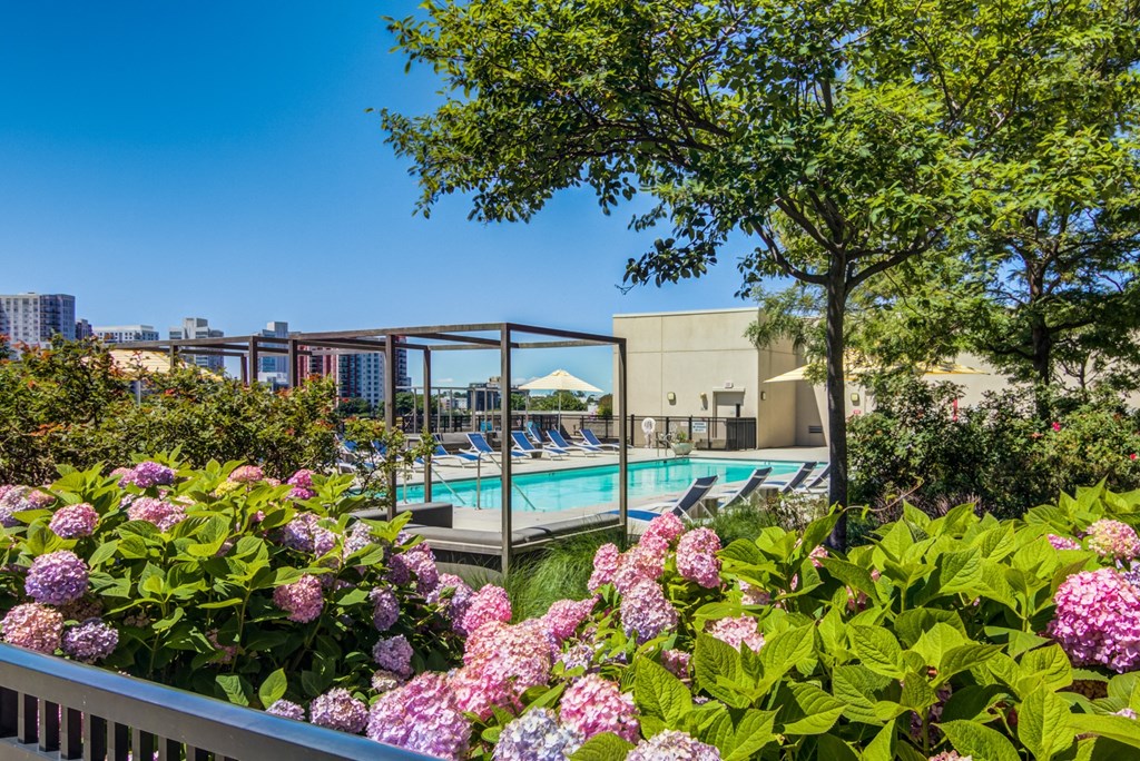 pool area with flowers