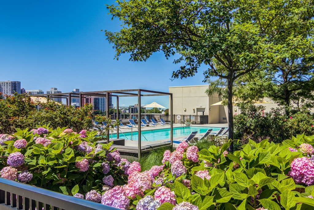 poolside lounge area with flowers