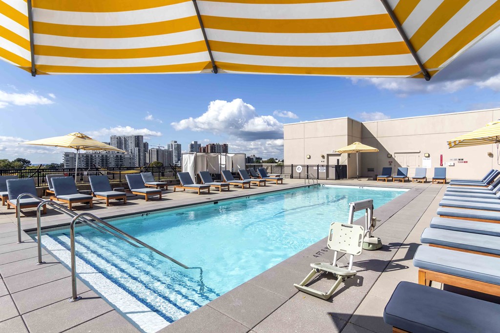 Rooftop pool with lounge chairs and city views
