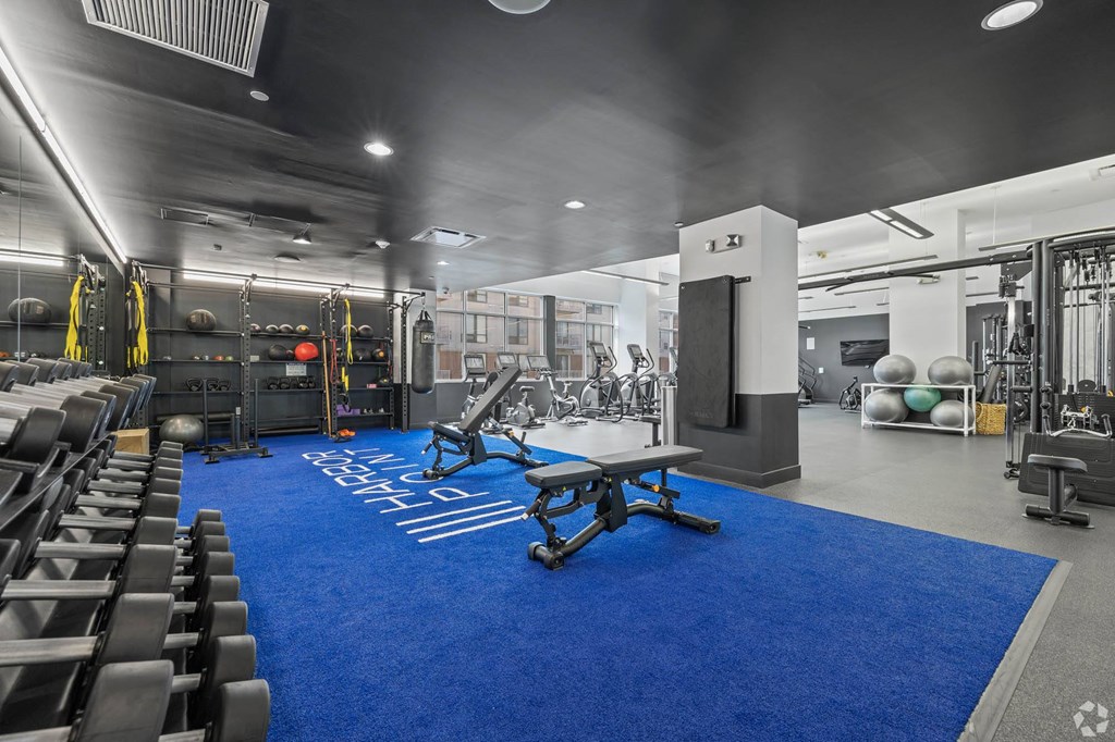 the gym at the adagio