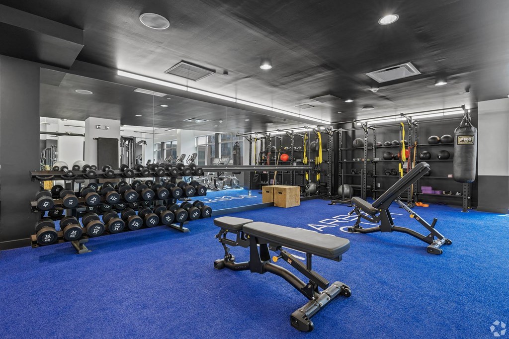 a view of the gym with weights and dumbbells