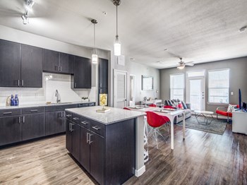 1111 Austin Highway Studio-3 Beds Apartment for Rent - Photo Gallery 3