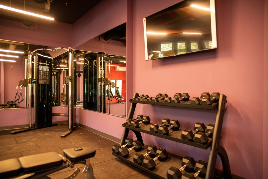 a gym with a rack of dumbbells and a mirror on the wall