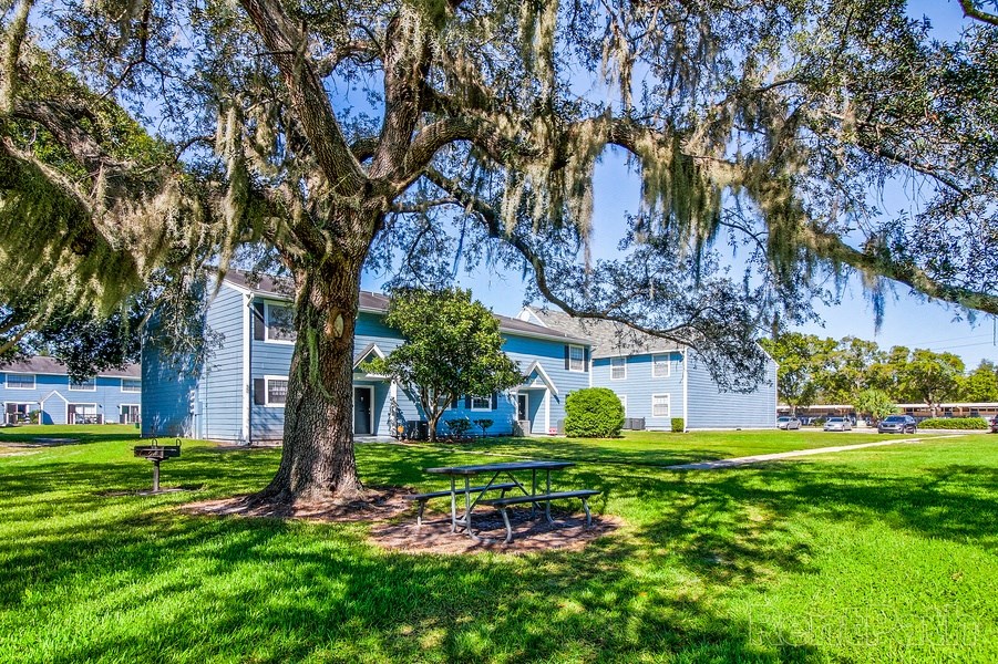 Outdoor BBQ grilling and picnic spaces at The Commons apartment community in Tampa, Florida.