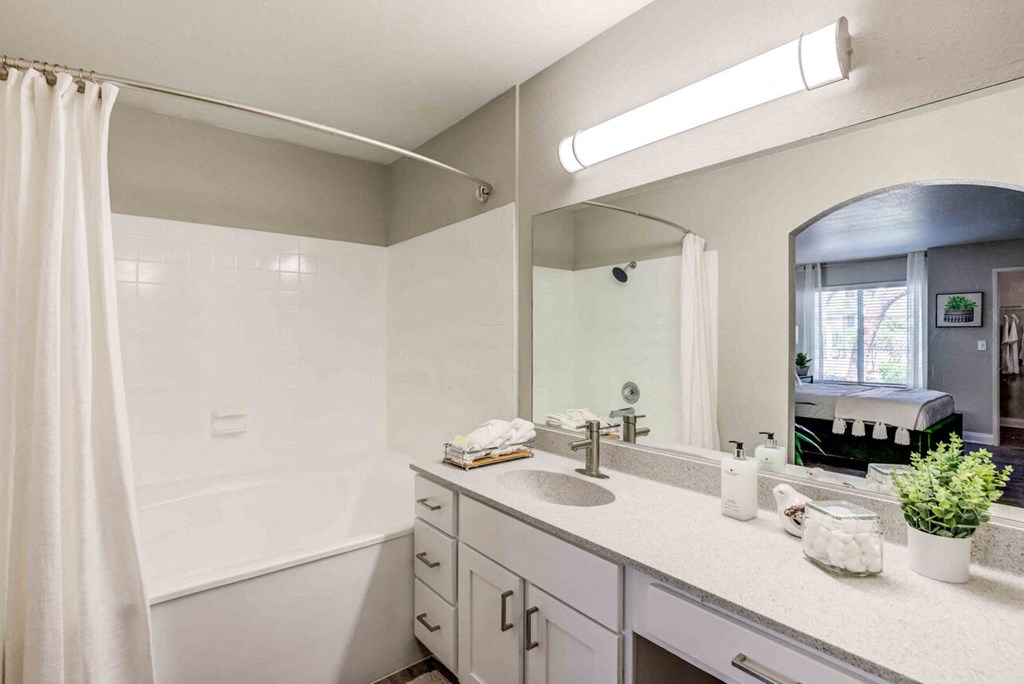 a bathroom with a large mirror and a sink