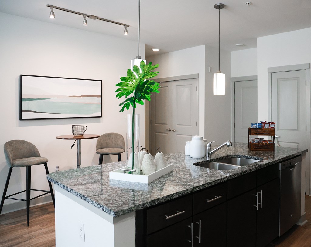 Modern kitchen with granite countertops, dark cabinets, stainless steel sink, and decorative accents.