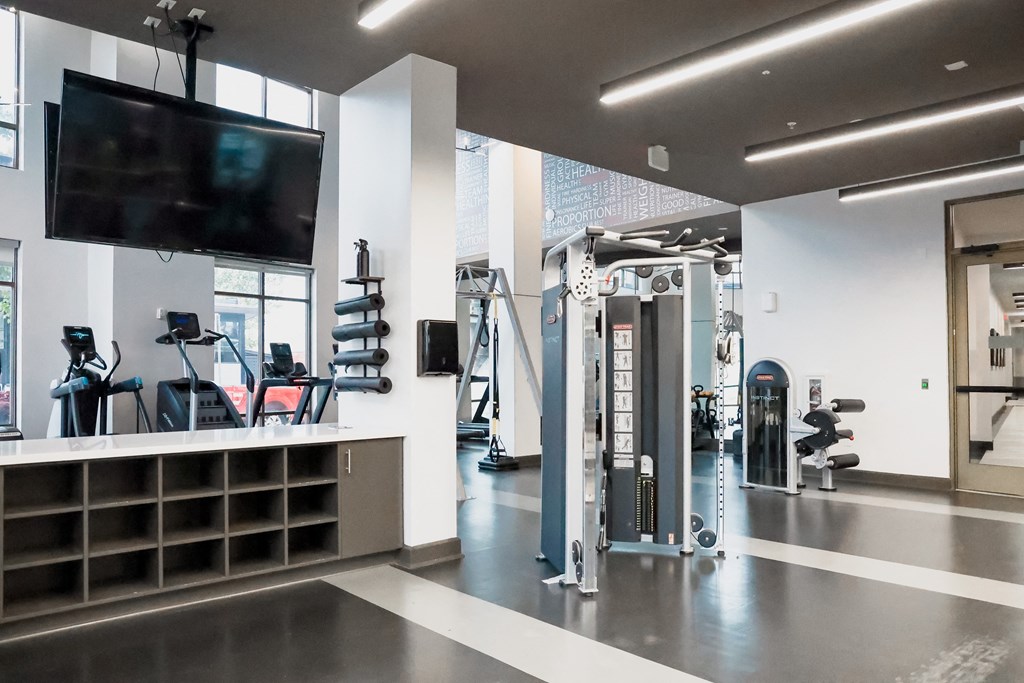 Modern gym interior with treadmills, weight machines, and wall art.