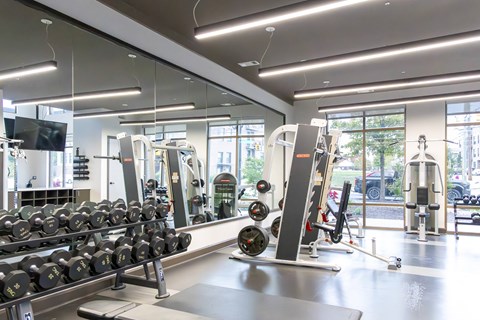 Modern gym with dumbbells, weight machines, and mirrored wall.