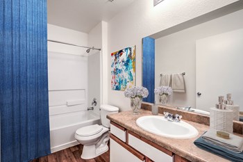5145 Rawhide Street 1-3 Beds Apartment for Rent - Photo Gallery 5