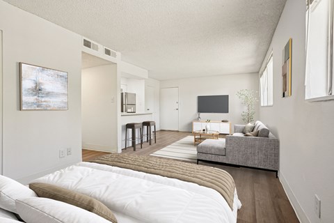 Bright living space with wood-style flooring at Willowstone Apartments, pet-friendly studio and 1–2 bedroom homes.