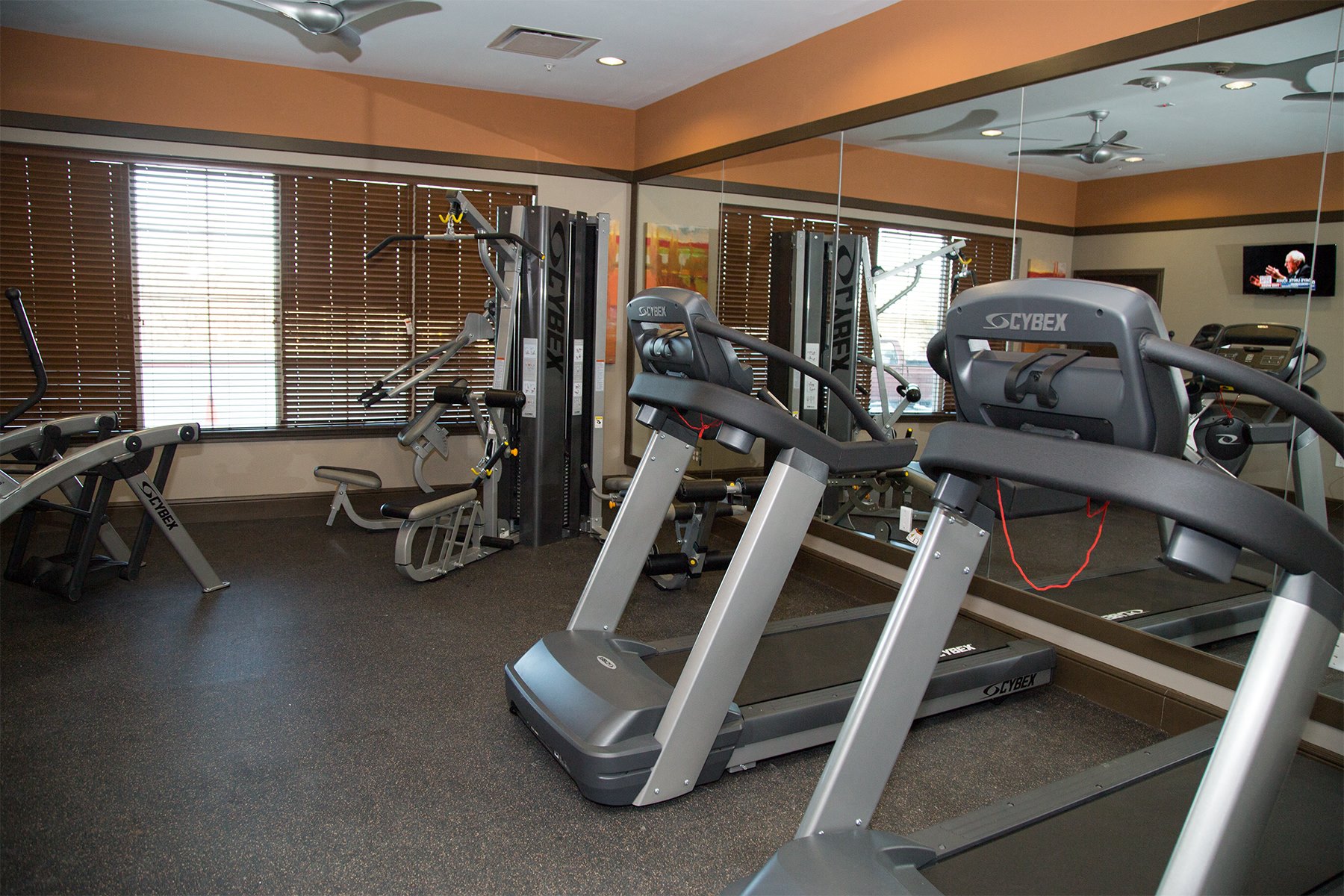 Fitness center- cardio machines, weighted machines