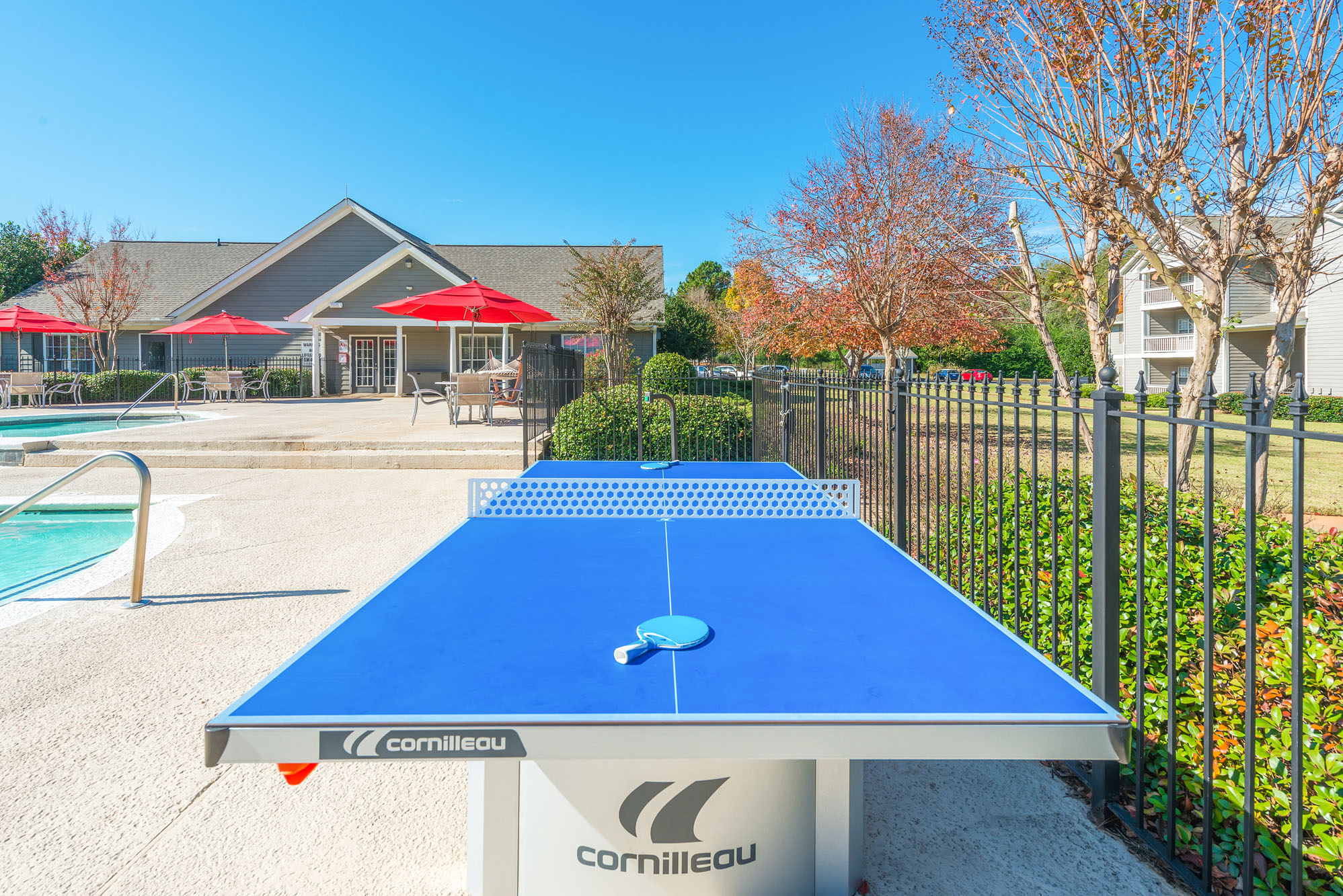 Ping Pong Table at Echelon Park, Georgia