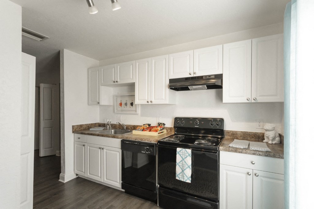 Belara Lakes Apartments in Tampa Florida photo of kitchen