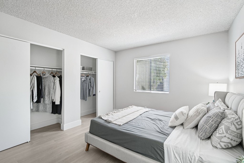 1 Bedroom Apartments in North Mountain Village, Phoenix, AZ - Ardella on 28th - Bedroom with Wood-Style Flooring, Bed, Bedside Table with Lamp, Two Large Closets with Sliding Wood Doors, and Window.
