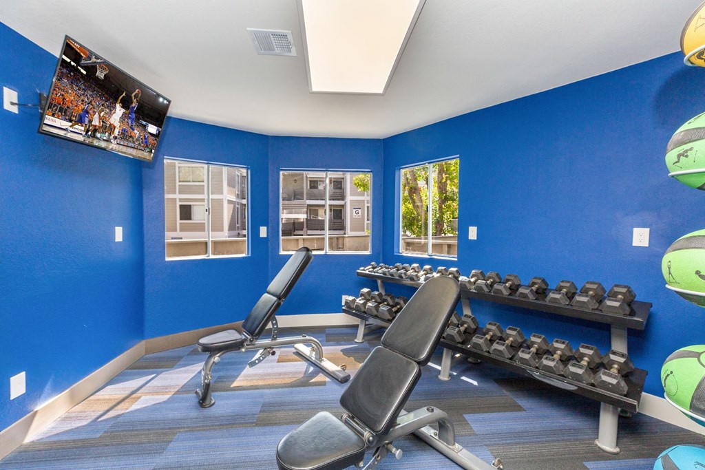 the gym at the landing at southknowes