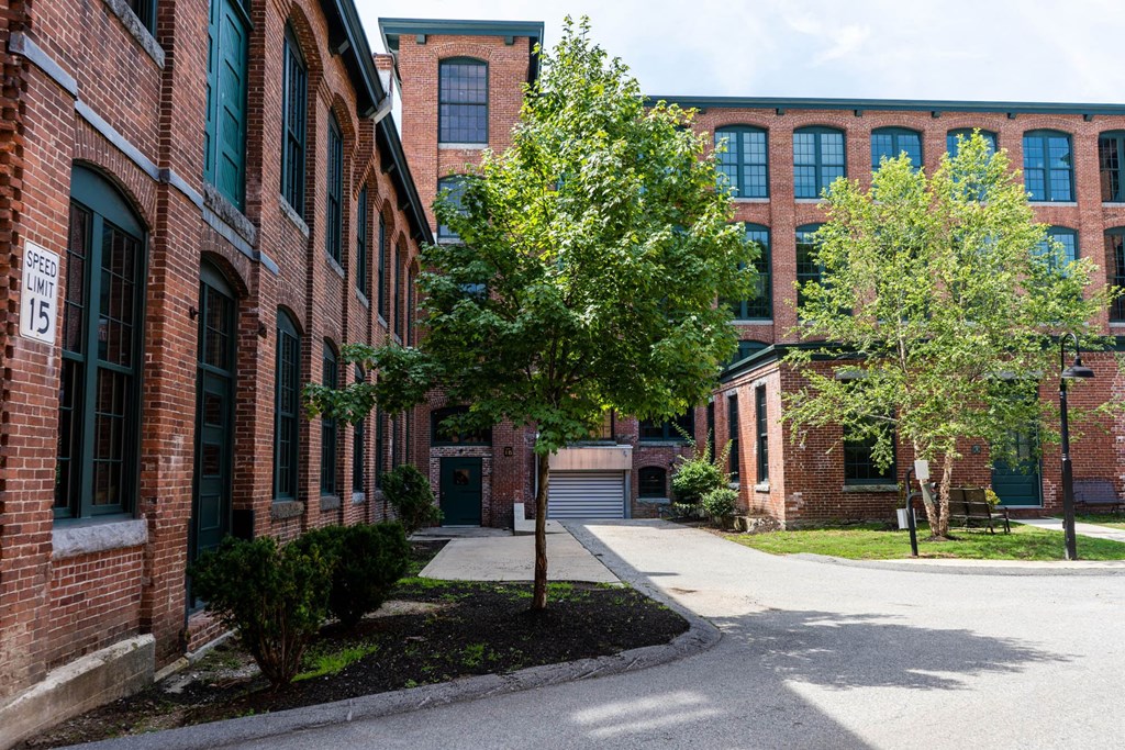 a tree in front of a red brick building