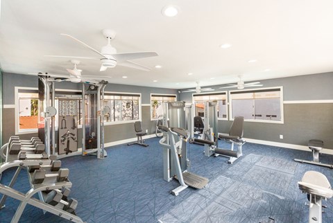 Colton, CA, Apartments for Rent - Ardella at Reche Canyon - Fitness Center Equipped With Weight Machines, A Dumbbell Rack, Benches, Blue Flooring, Ceiling Fans, And Large Windows.