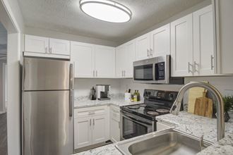 Place at Midway Douglasville GA apartment photo of gourmet kitchen