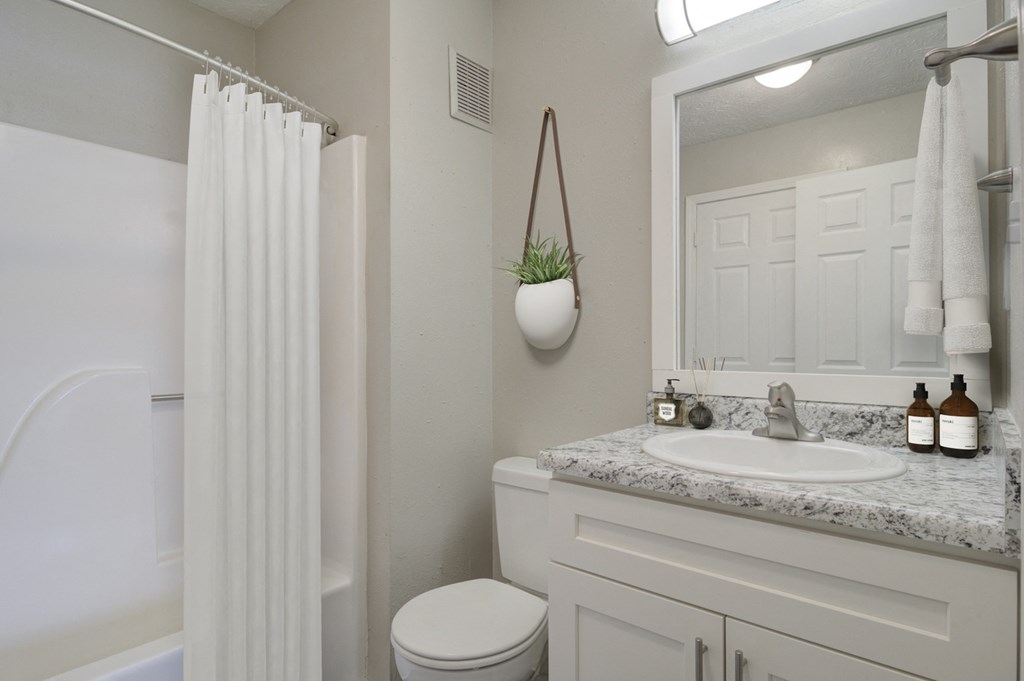 Place at Midway Douglasville GA apartments photo of  renovated bathroom