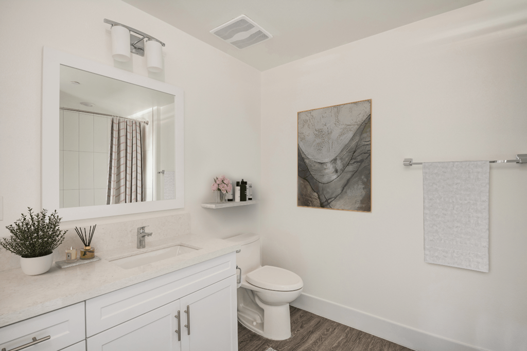 a bathroom with a toilet and a sink and a mirror